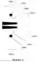 Fig. 27 - COMPOSITIONS OF ANTIBODY CONSTRUCT - AGONIST CONJUGATES AND METHODS OF USE THEREOF
