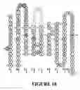 Fig. 31 - COMPOSITIONS OF ANTIBODY CONSTRUCT - AGONIST CONJUGATES AND METHODS OF USE THEREOF