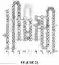 Fig. 34 - COMPOSITIONS OF ANTIBODY CONSTRUCT - AGONIST CONJUGATES AND METHODS OF USE THEREOF