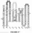 Fig. 40 - COMPOSITIONS OF ANTIBODY CONSTRUCT - AGONIST CONJUGATES AND METHODS OF USE THEREOF
