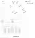 Fig. 41 - COMPOSITIONS OF ANTIBODY CONSTRUCT - AGONIST CONJUGATES AND METHODS OF USE THEREOF