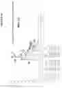 Fig. 43 - COMPOSITIONS OF ANTIBODY CONSTRUCT - AGONIST CONJUGATES AND METHODS OF USE THEREOF