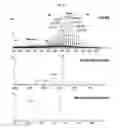Fig. 14 - Process and methods for efficient manufacturing of highly pure asymmetric antibodies in mammalian cells