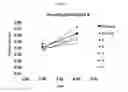 Fig. 16 - Process and methods for efficient manufacturing of highly pure asymmetric antibodies in mammalian cells