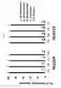 Fig. 19 - Process and methods for efficient manufacturing of highly pure asymmetric antibodies in mammalian cells