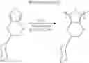 Fig. 32 - Polythiophene derivative, secondary cell positive electrode active material, and secondary cell