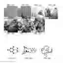 Fig. 02 - Porous polymer material