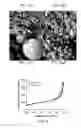 Fig. 05 - Porous polymer material