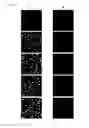 Fig. 06 - CYANINE COMPOUNDS