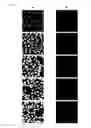 Fig. 13 - CYANINE COMPOUNDS