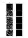 Fig. 14 - CYANINE COMPOUNDS