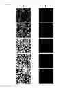 Fig. 20 - CYANINE COMPOUNDS