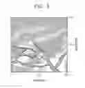 Fig. 05 - Coating compositions comprising polymers having titanium/oxygen or silicon/oxygen backbones