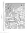 Fig. 06 - Coating compositions comprising polymers having titanium/oxygen or silicon/oxygen backbones
