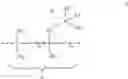 Fig. 15 - Coating compositions comprising polymers having titanium/oxygen or silicon/oxygen backbones
