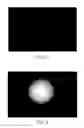 Fig. 05 - Absorptive pigments comprising graphenic carbon particles