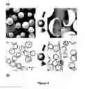 Fig. 08 - Autonomic damage indication in coatings