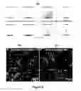 Fig. 09 - Autonomic damage indication in coatings