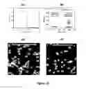 Fig. 10 - Autonomic damage indication in coatings
