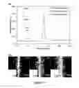 Fig. 13 - Autonomic damage indication in coatings
