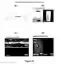 Fig. 20 - Autonomic damage indication in coatings