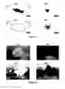 Fig. 06 - Self-healing coating