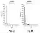Fig. 03 - Dispersed white inks