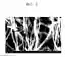 Fig. 06 - Paste composition, heating element, heating apparatus, and method of manufacturing the paste composition