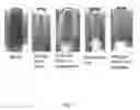 Fig. 02 - Compositions and methods for treating oil and gas wells