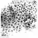 Fig. 01 - Composition