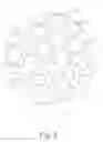 Fig. 03 - PATTERNED CANDLE WICK