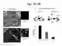 Fig. 04 - DEVICES FOR SIMULATING A FUNCTION OF A LIVER TISSUE AND METHODS OF USE AND MANUFACTURING THEREOF