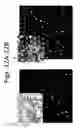 Fig. 13 - DEVICES FOR SIMULATING A FUNCTION OF A LIVER TISSUE AND METHODS OF USE AND MANUFACTURING THEREOF