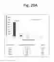 Fig. 22 - DEVICES FOR SIMULATING A FUNCTION OF A LIVER TISSUE AND METHODS OF USE AND MANUFACTURING THEREOF
