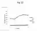 Fig. 25 - DEVICES FOR SIMULATING A FUNCTION OF A LIVER TISSUE AND METHODS OF USE AND MANUFACTURING THEREOF