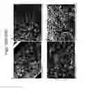 Fig. 28 - DEVICES FOR SIMULATING A FUNCTION OF A LIVER TISSUE AND METHODS OF USE AND MANUFACTURING THEREOF