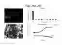 Fig. 29 - DEVICES FOR SIMULATING A FUNCTION OF A LIVER TISSUE AND METHODS OF USE AND MANUFACTURING THEREOF