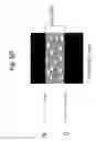 Fig. 10 - Cell culture device and image analysis device