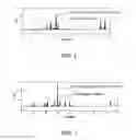 Fig. 03 - METHOD OF CULTURING ANTRODIA CINNAMOMEA WITH HIGH TRITERPENOIDS