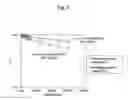 Fig. 06 - DRIED BACTERIAL CELL POWDER CONTAINING A CAROTENOID AND METHOD FOR PRODUCING THE SAME