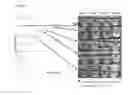 Fig. 08 - Methods for viral inactivation and other adventitious agents