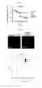 Fig. 04 - Kits for neural conversion of human embryonic stem cells