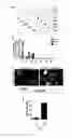 Fig. 08 - Kits for neural conversion of human embryonic stem cells