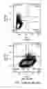 Fig. 17 - Kits for neural conversion of human embryonic stem cells