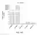 Fig. 18 - Kits for neural conversion of human embryonic stem cells