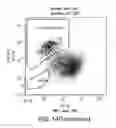 Fig. 20 - Kits for neural conversion of human embryonic stem cells