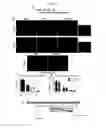Fig. 22 - Kits for neural conversion of human embryonic stem cells