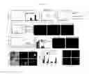 Fig. 28 - Kits for neural conversion of human embryonic stem cells