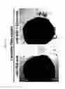 Fig. 32 - Kits for neural conversion of human embryonic stem cells