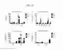 Fig. 33 - Kits for neural conversion of human embryonic stem cells